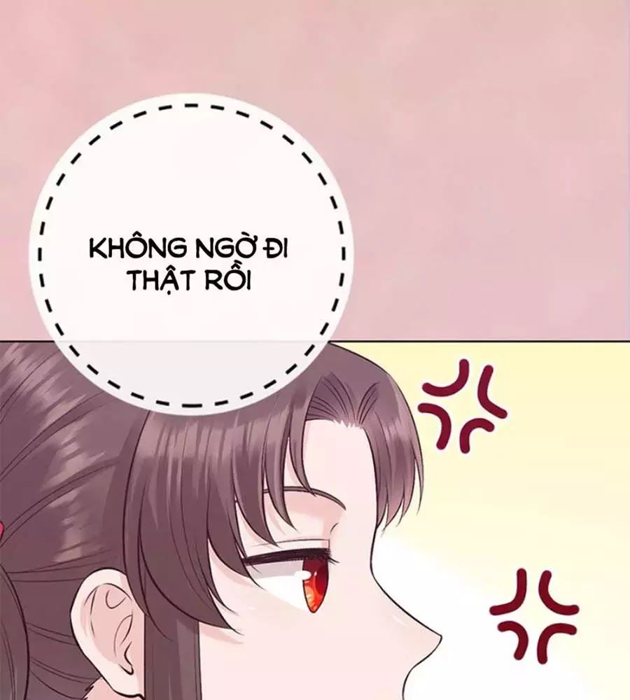 Mỹ Nhân Già Rồi Chapter 43 - Trang 2