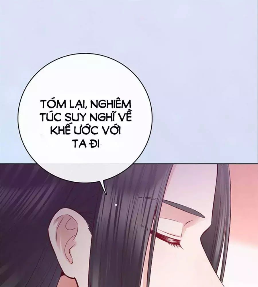 Mỹ Nhân Già Rồi Chapter 42 - Trang 2