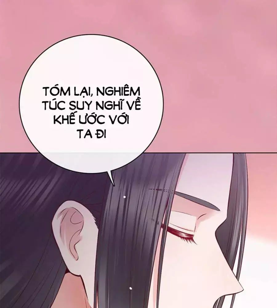 Mỹ Nhân Già Rồi Chapter 41 - Trang 2