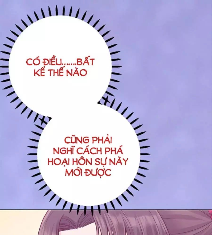 Mỹ Nhân Già Rồi Chapter 41 - Trang 2