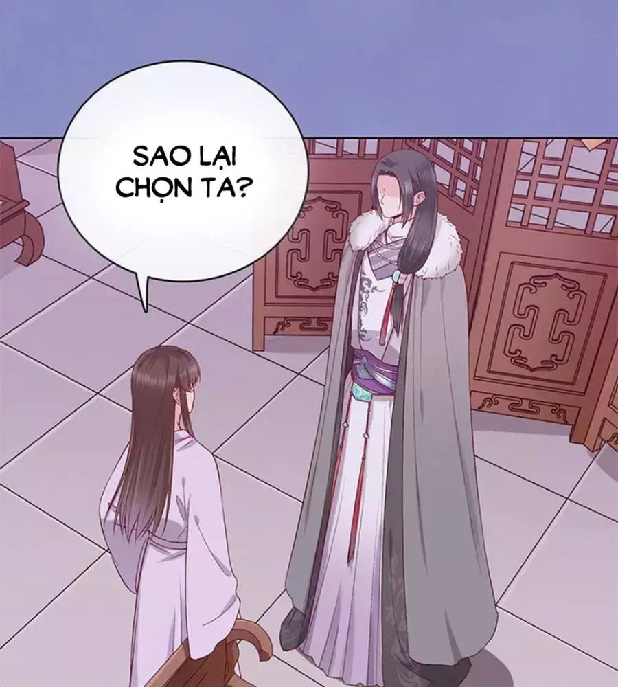 Mỹ Nhân Già Rồi Chapter 41 - Trang 2