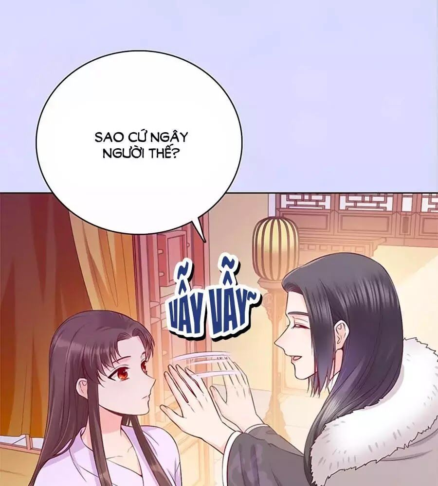 Mỹ Nhân Già Rồi Chapter 37 - Trang 2