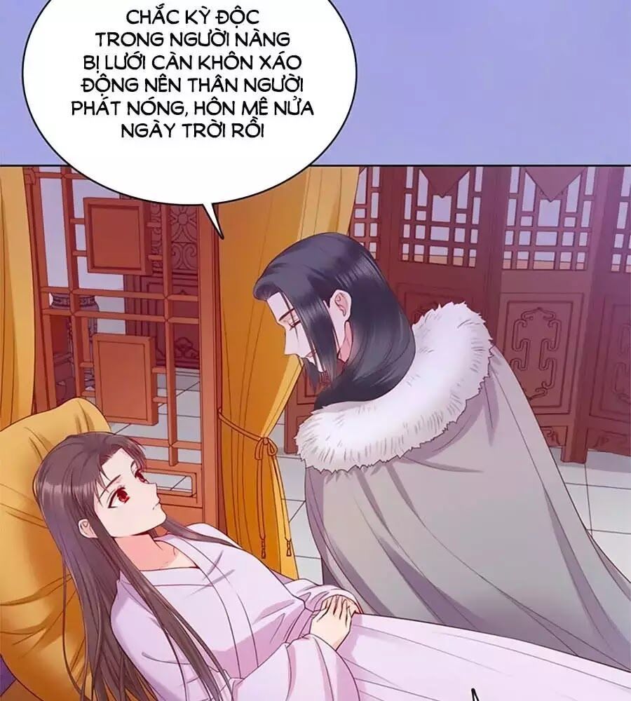 Mỹ Nhân Già Rồi Chapter 36 - Trang 2