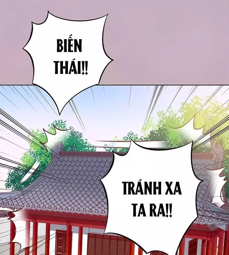 Mỹ Nhân Già Rồi Chapter 36 - Trang 2