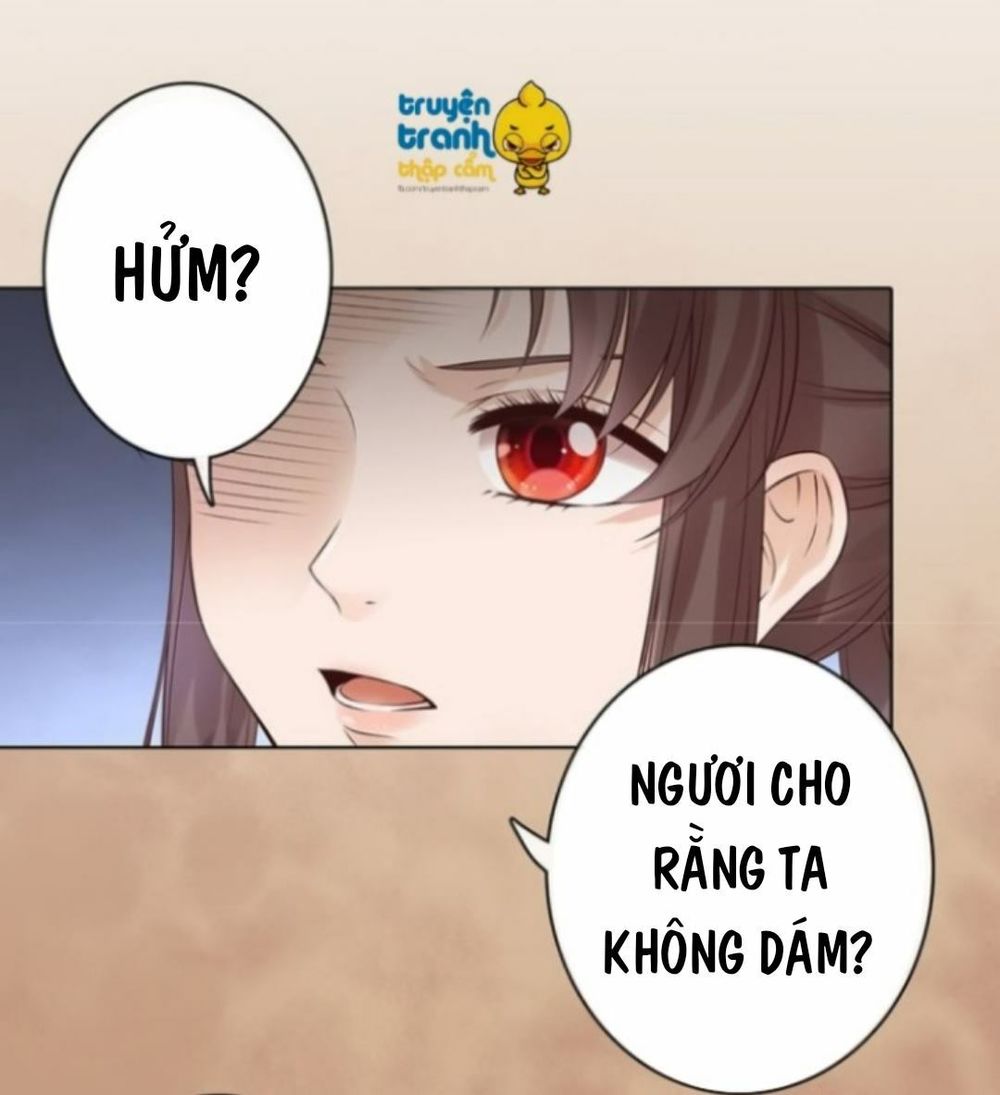 Mỹ Nhân Già Rồi Chapter 20 - Trang 2