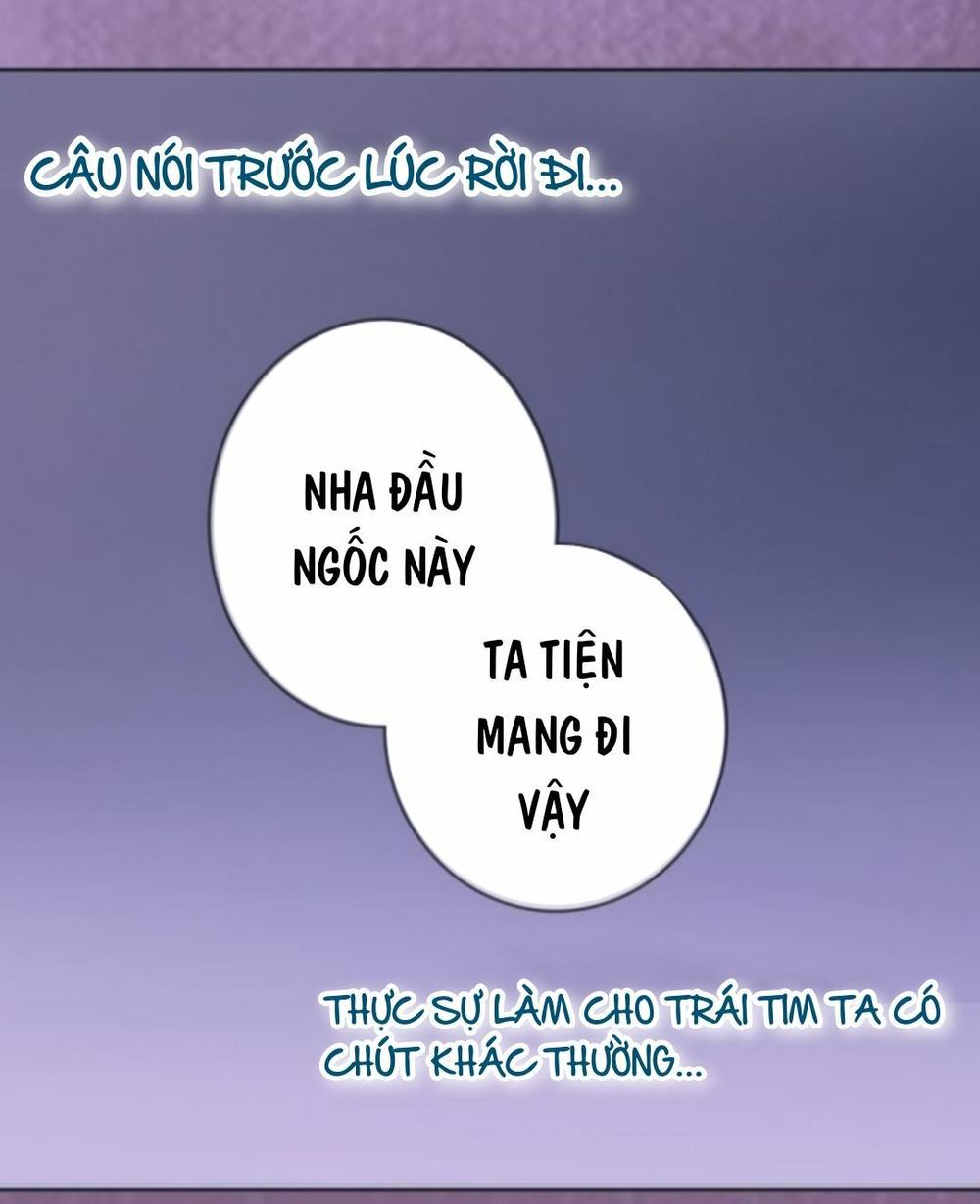 Mỹ Nhân Già Rồi Chapter 19 - Trang 2