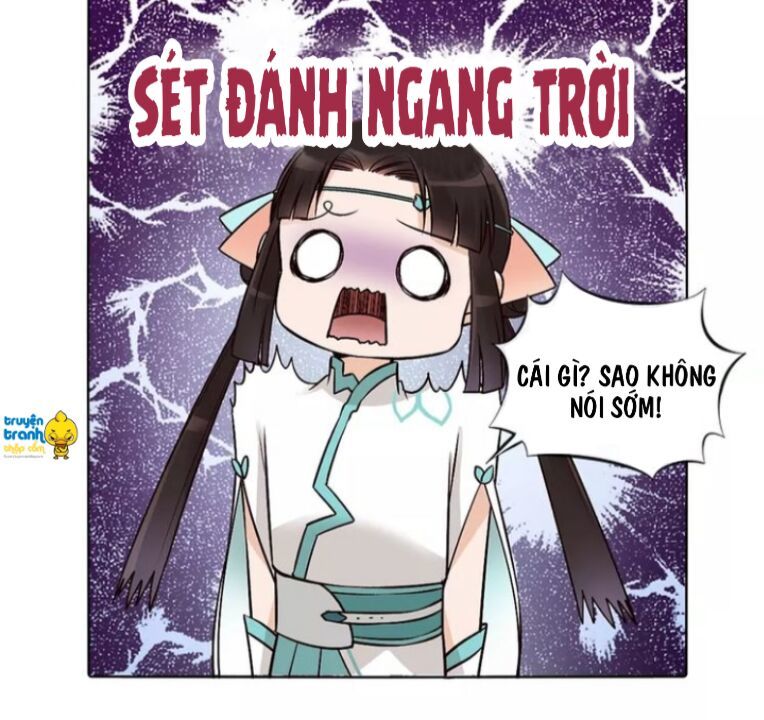 Mỹ Nhân Già Rồi Chapter 16 - Trang 2