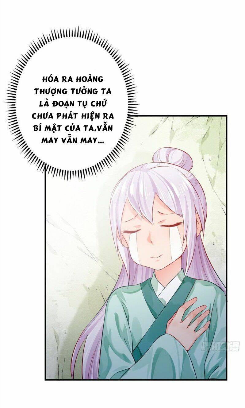 Bệ Hạ Xin Tự Trọng Chapter 33 - Trang 2