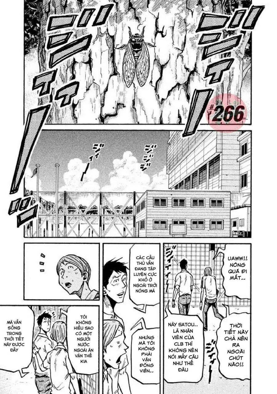 Giant Killing Chapter 266 - Trang 2