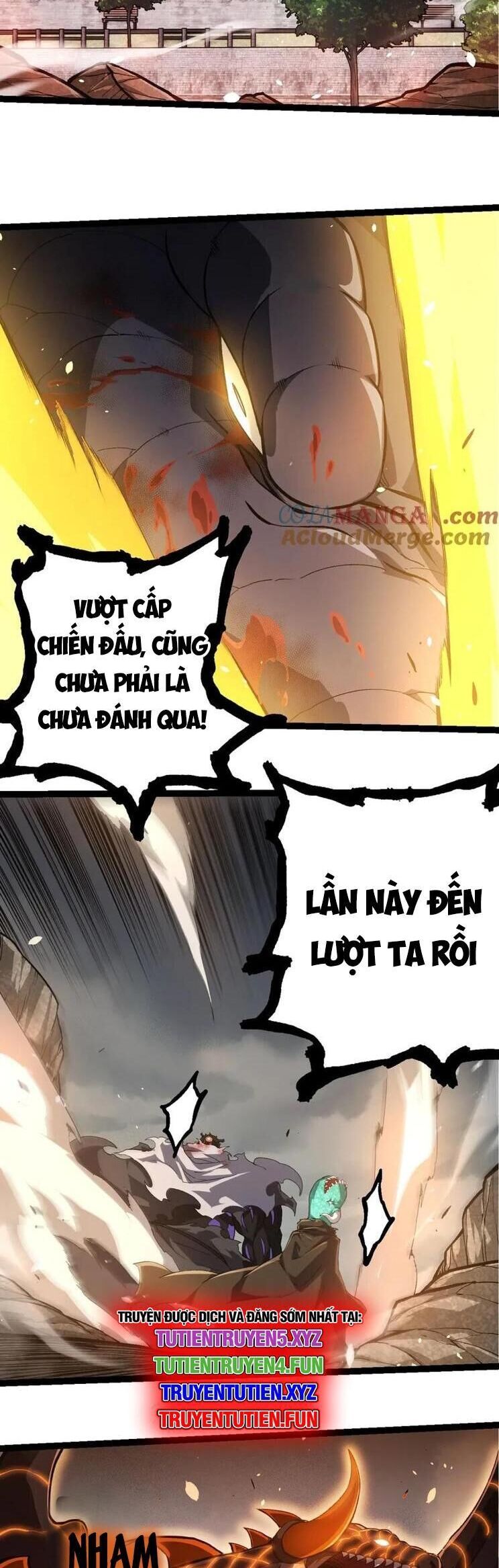 Chuyển Sinh Thành Liễu Đột Biến Chapter 317 - Trang 2