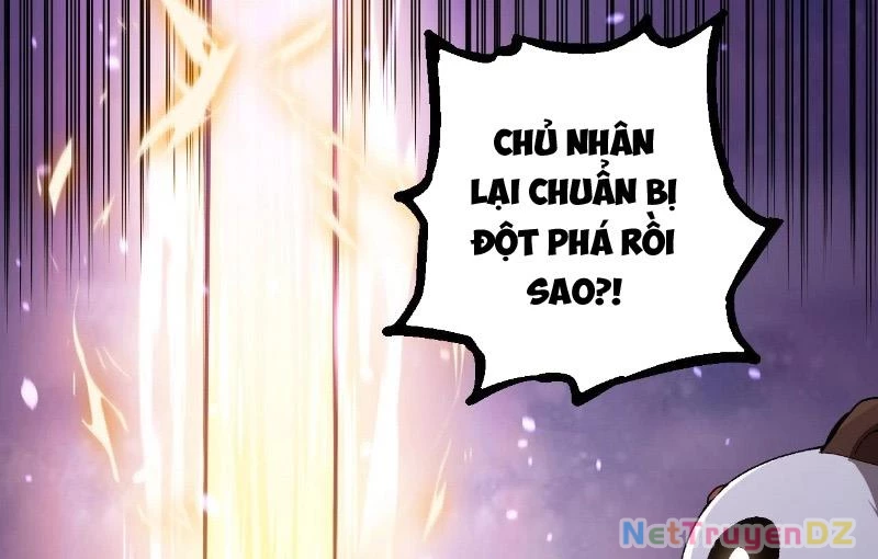 Chuyển Sinh Thành Liễu Đột Biến Chapter 312 - Trang 2