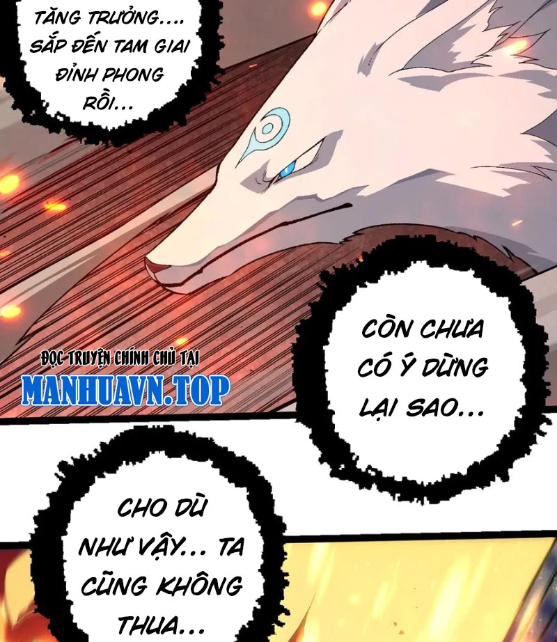 Chuyển Sinh Thành Liễu Đột Biến Chapter 267 - Trang 2