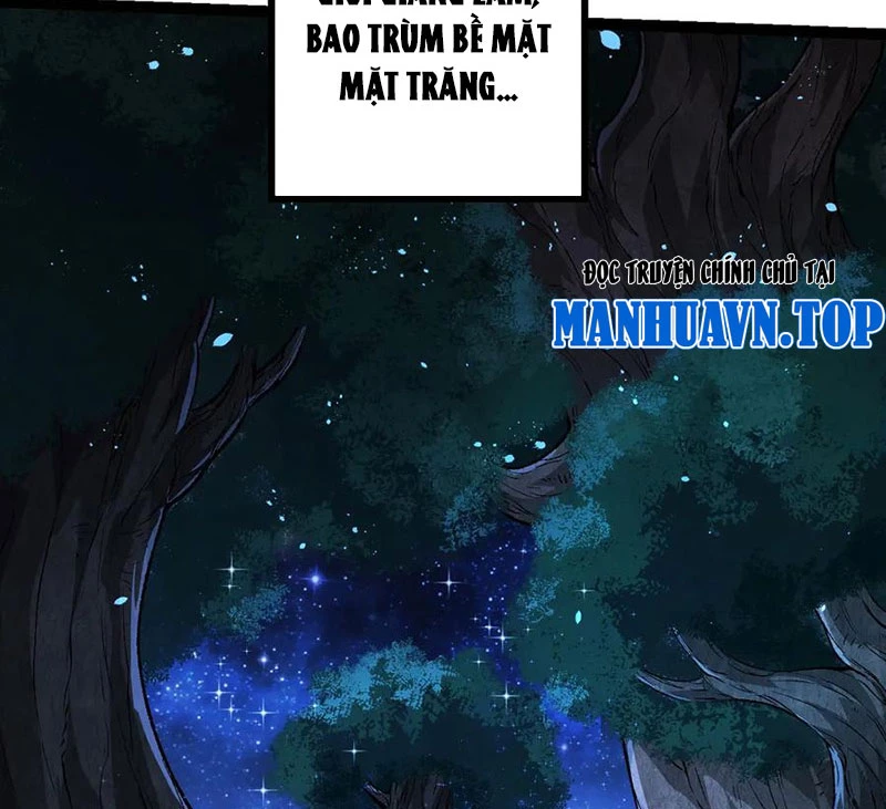 Chuyển Sinh Thành Liễu Đột Biến Chapter 258 - Trang 2