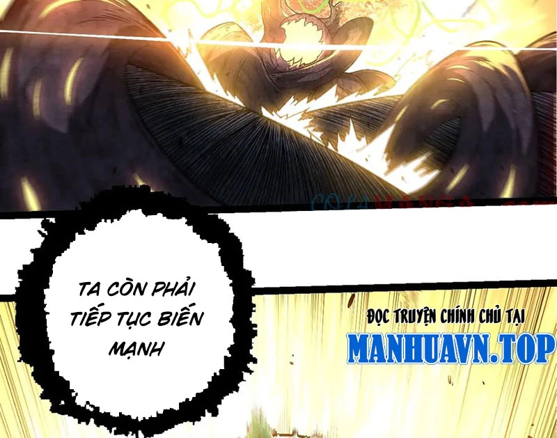 Chuyển Sinh Thành Liễu Đột Biến Chapter 256 - Trang 2