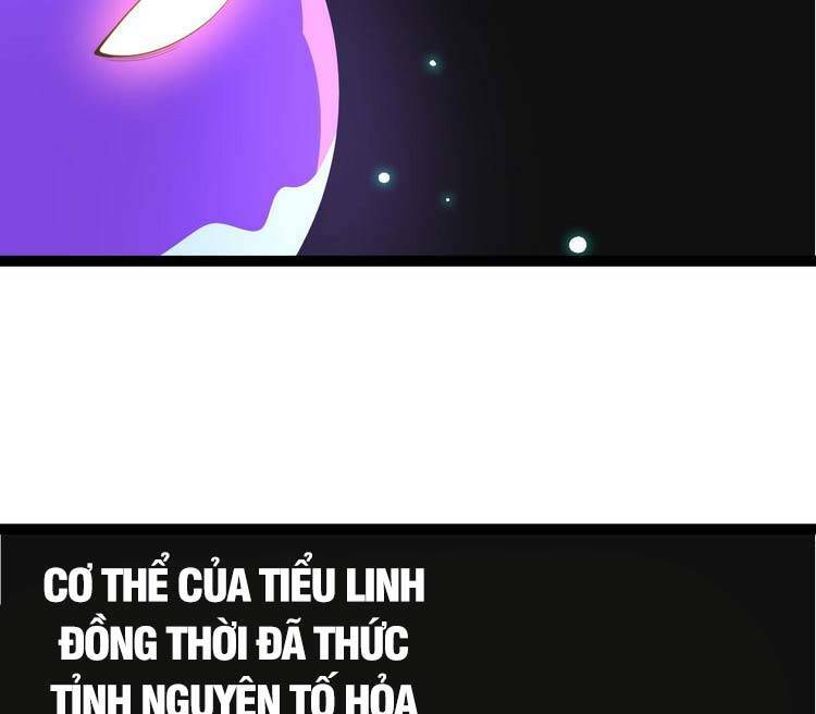 Chuyển Sinh Thành Liễu Đột Biến Chapter 20 - Trang 2