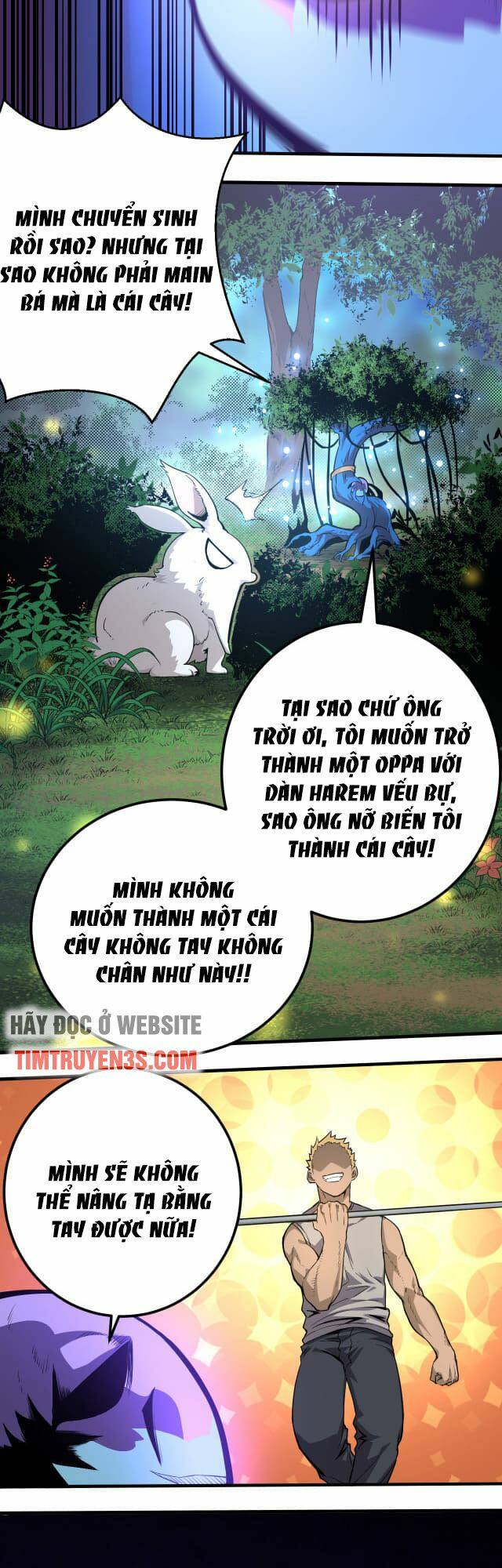 Chuyển Sinh Thành Liễu Đột Biến Chapter 1 - Trang 2