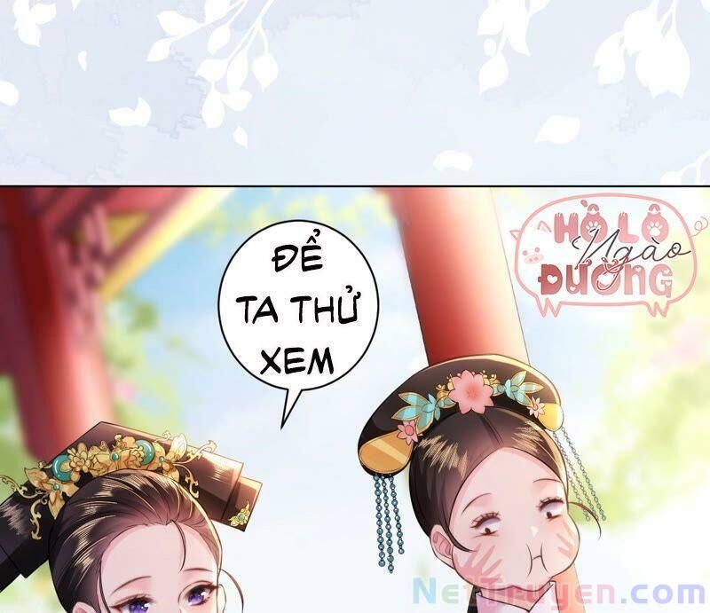 Quận Chúa Vững Vàng, Thiết Lập Nhân Vật Không Thể Vỡ Chapter 33 - Trang 2