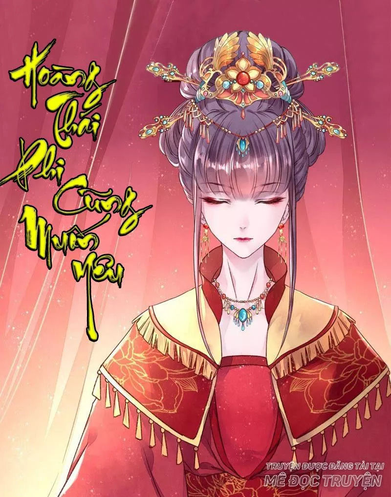 Sau Này Vẫn Cứ Thích Em Chapter 40 - Trang 2