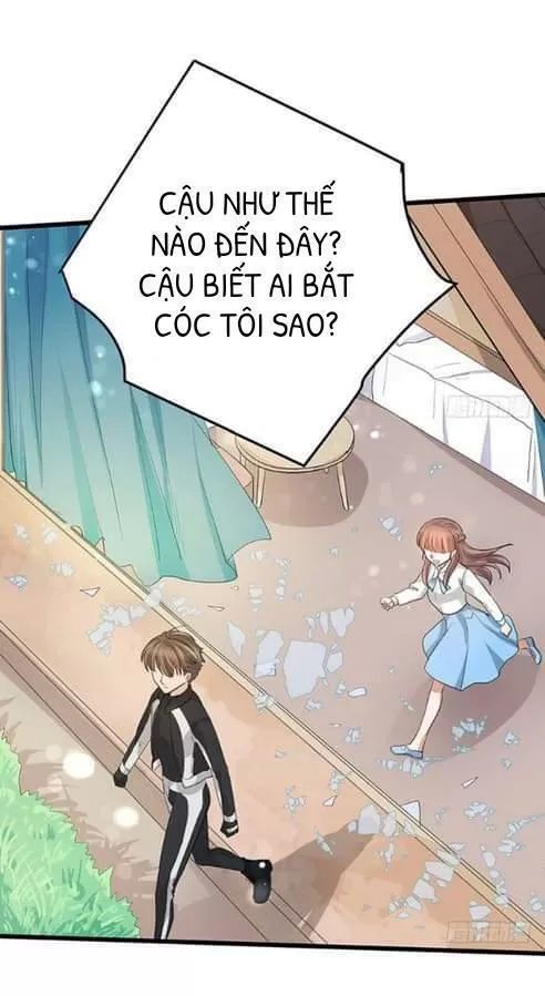 Chào Buổi Sáng, Ức Vạn Manh Thê Chapter 41 - Trang 2