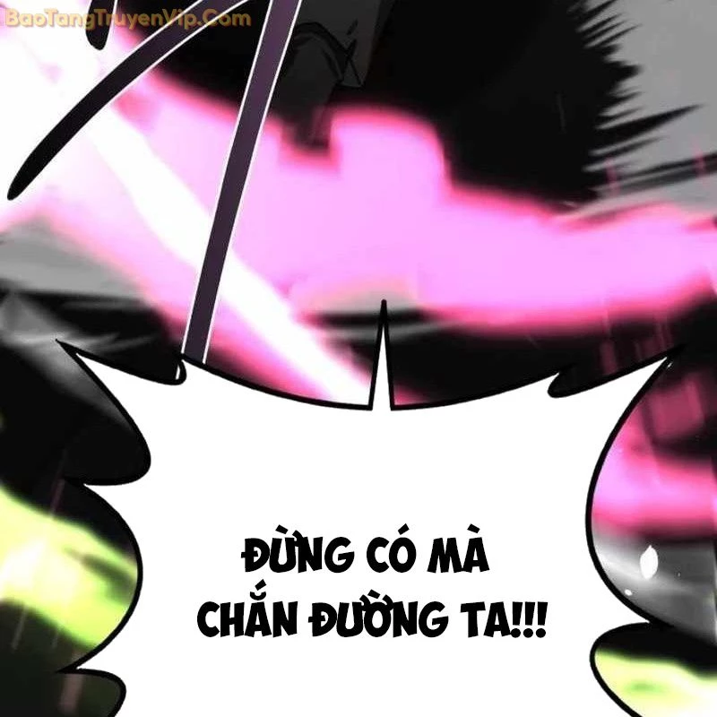 Có Lẽ Là Vô Địch Chapter 13 - Trang 2