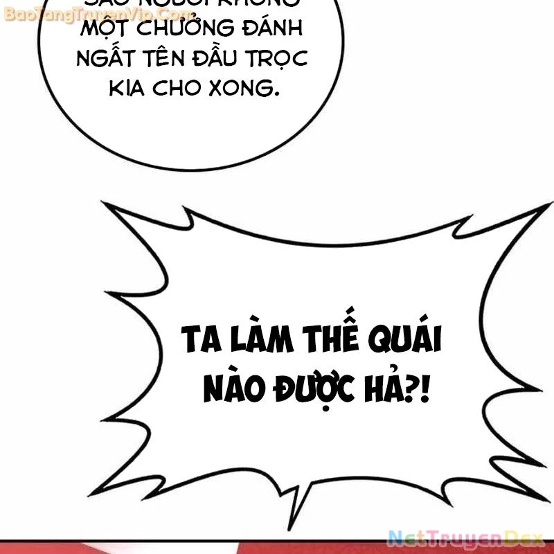 Có Lẽ Là Vô Địch Chapter 13 - Trang 2