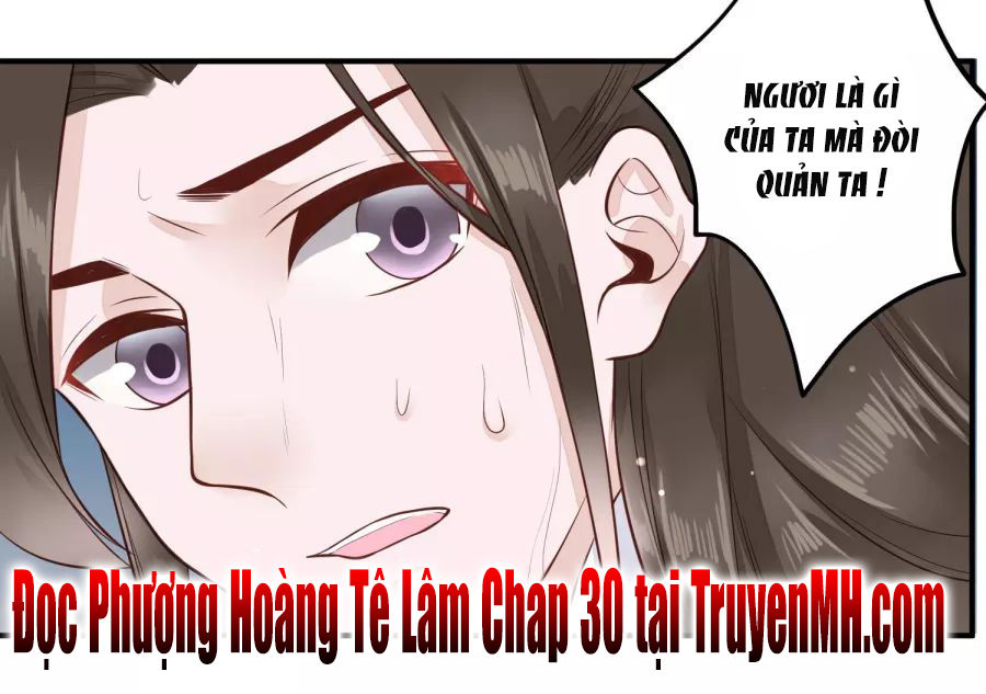 Phượng Hoàng Tê Lâm Chapter 29 - Trang 2