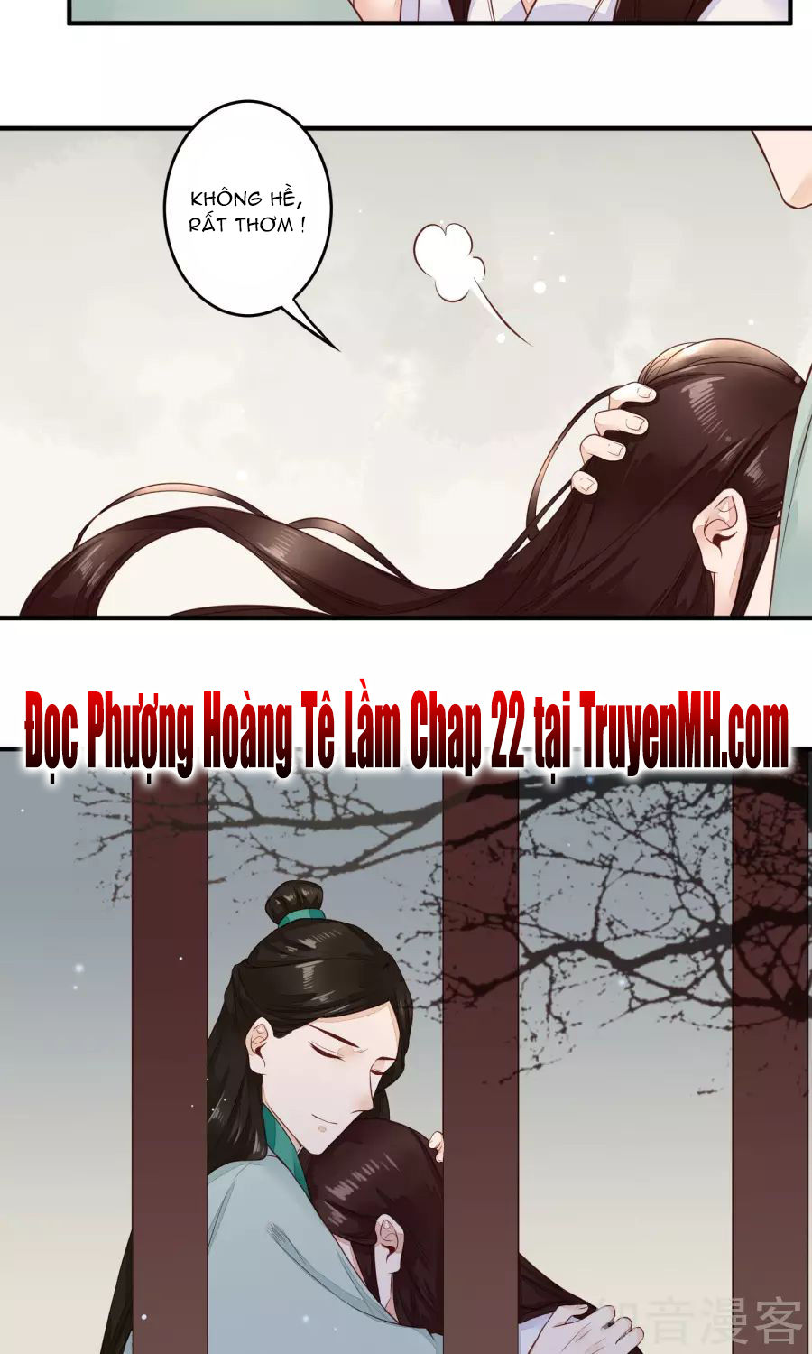 Phượng Hoàng Tê Lâm Chapter 21 - Trang 2