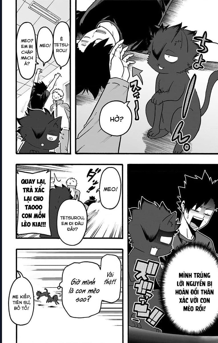 Haikyuu-Bu Chapter 52 - Trang 2