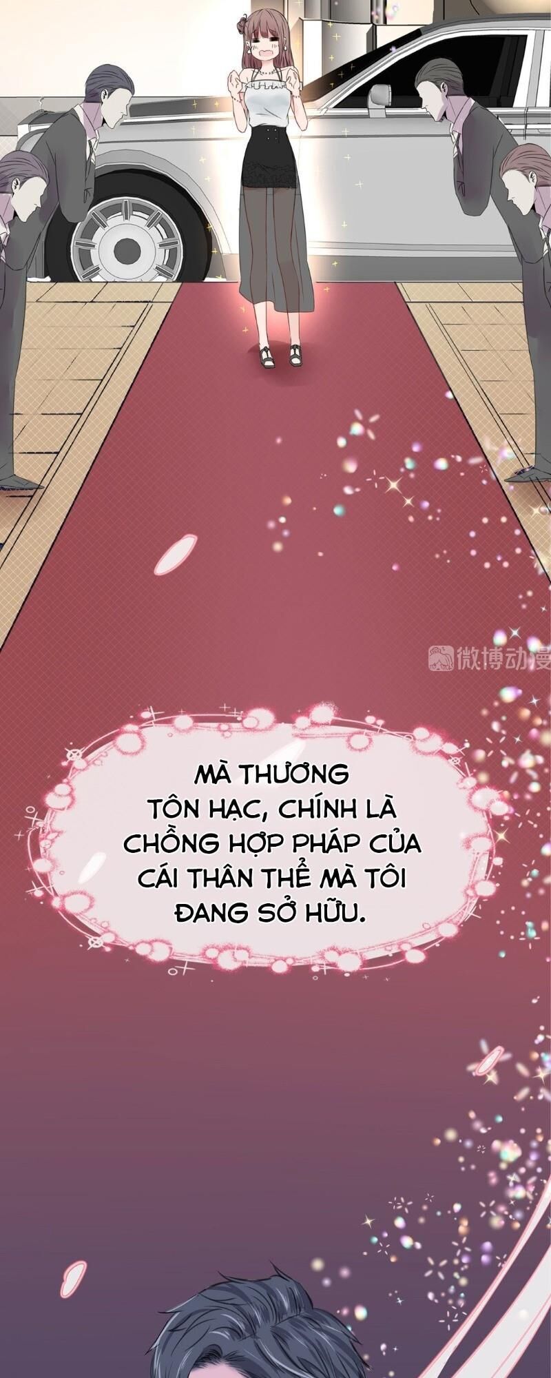 Thương Tiên Sinh Mã Giáp Của Anh Lại Rơi Rồi Chapter 1 - Trang 2