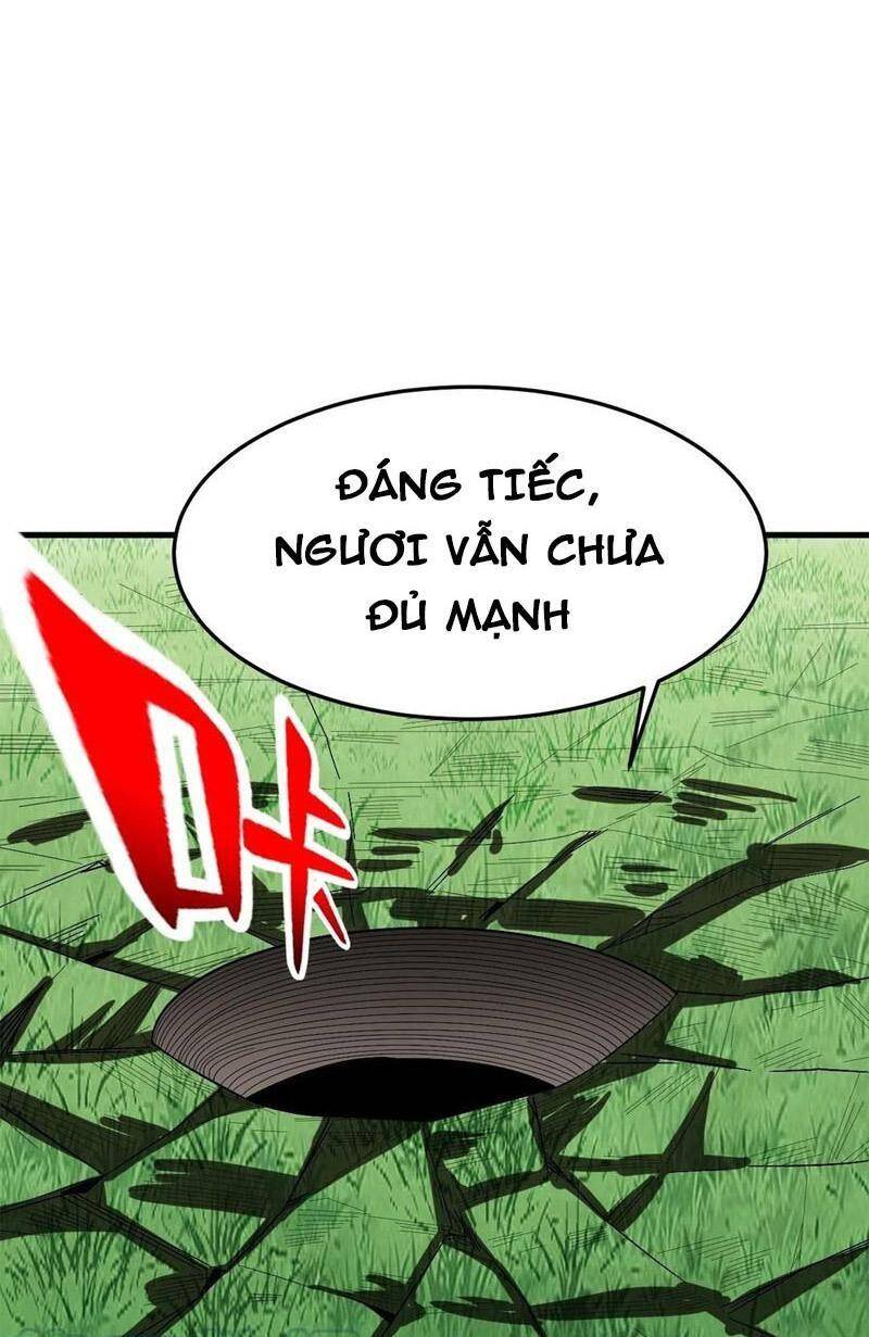 Trở Về Làm Đại Lão Thời Mạt Thế Chapter 269 - Trang 2