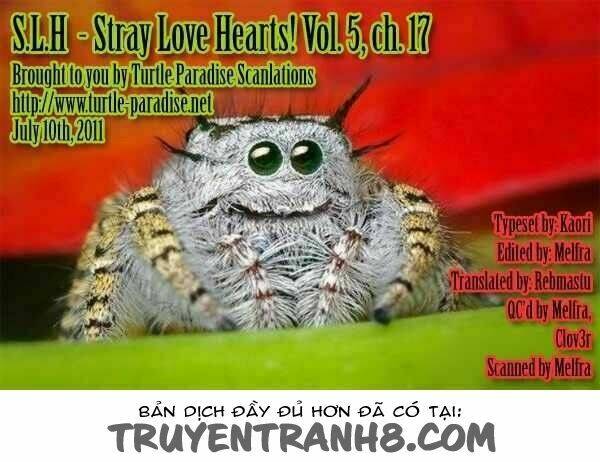 S.L.H (Stray Love Hearts) Chapter 17 - Trang 2