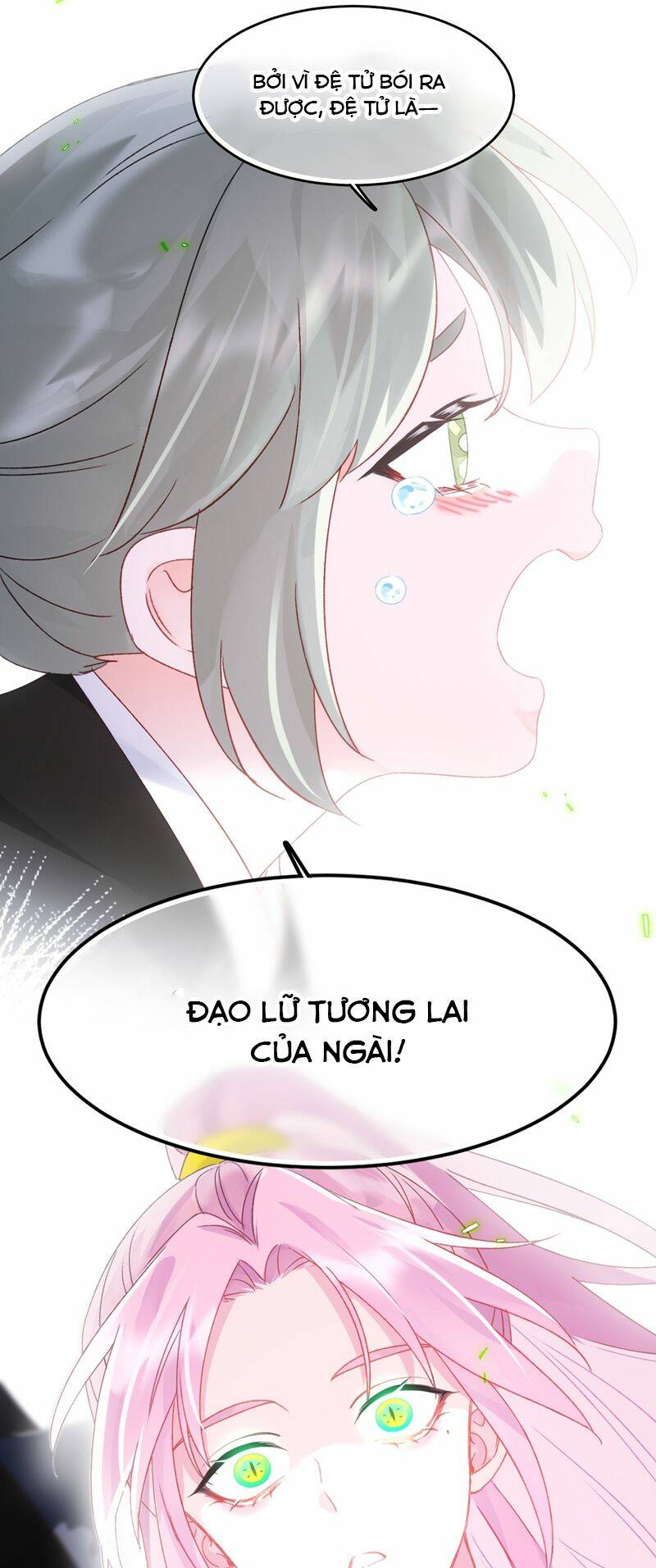 Tôi Phải Làm Một Kẻ Đại Xấu Xa Chapter 117 - Trang 2