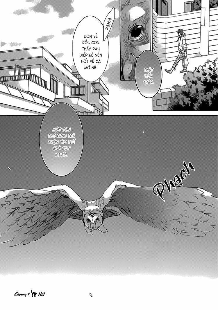 Oinarisama No Honey Bunny Chapter 9 - Trang 2