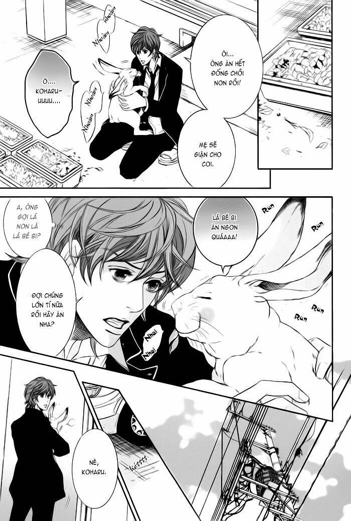 Oinarisama No Honey Bunny Chapter 3 - Trang 2