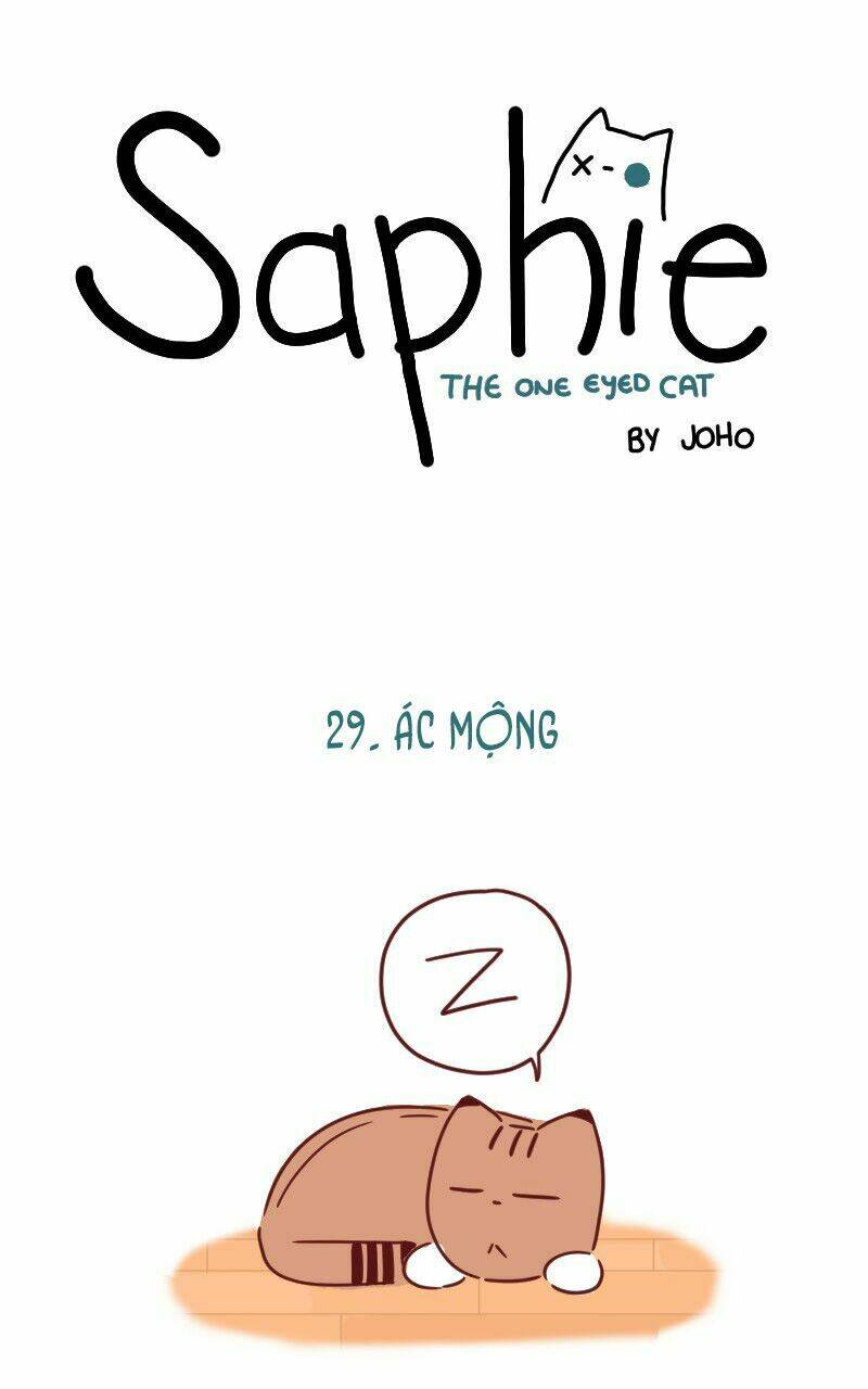 Saphie: Chú Mèo Một Mắt Chapter 29 - Trang 2