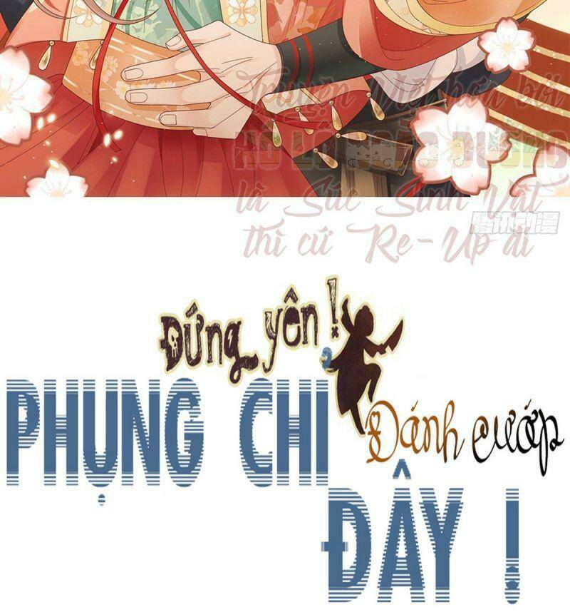 Đứng Yên ! Phụng Chỉ Đánh Cướp Đây Chapter 36 - Trang 2