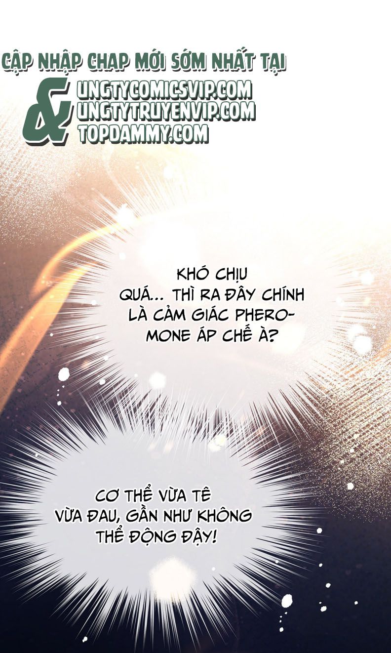 Tôi Trùng Sinh Trở Thành Tiểu Ác Long Của Vương Tử Điện Hạ Chapter 31 - Trang 2