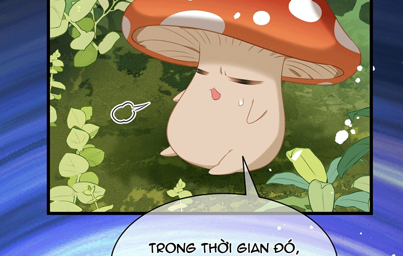 Tôi Trùng Sinh Trở Thành Tiểu Ác Long Của Vương Tử Điện Hạ Chapter 15 - Trang 2