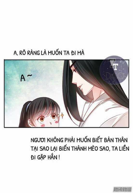 Hoàng Thái Tử, Xin Nhận Nuôi Em! Chapter 11 - Trang 2