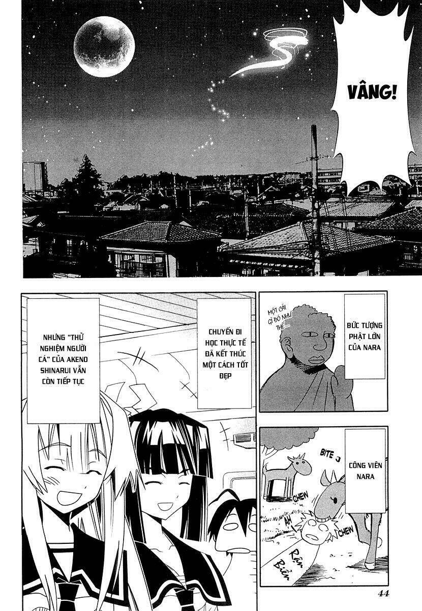 Seto No Hanayome Chapter 29 - Trang 2