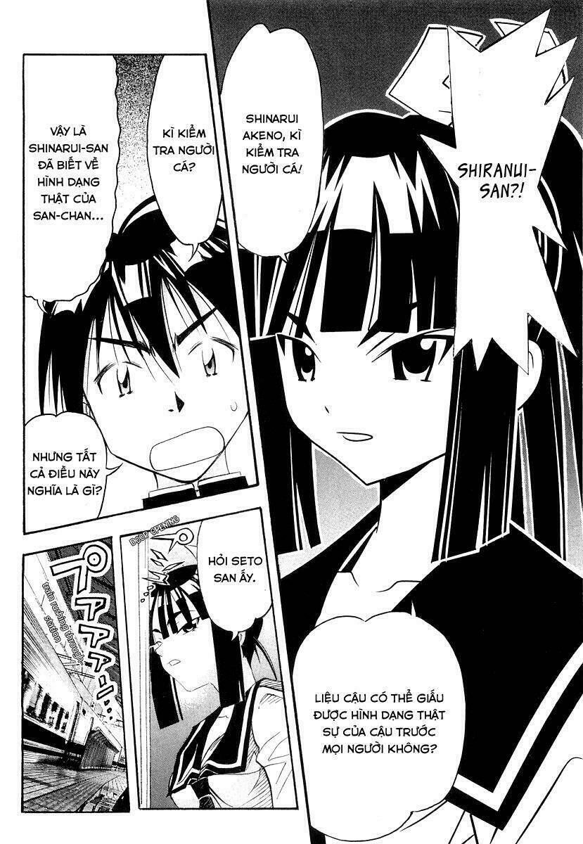 Seto No Hanayome Chapter 26 - Trang 2