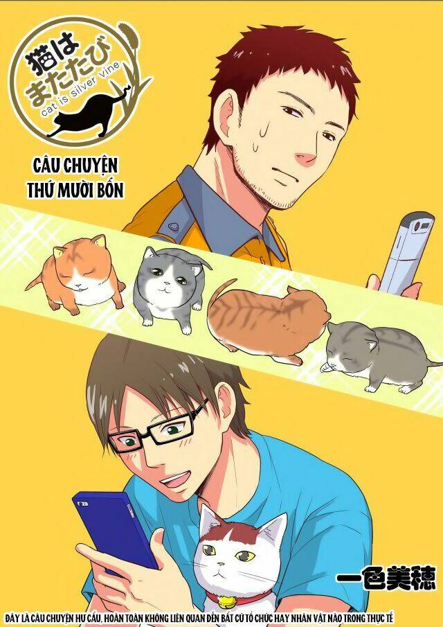 Cat Is Silver Vine Chapter 14 - Trang 2