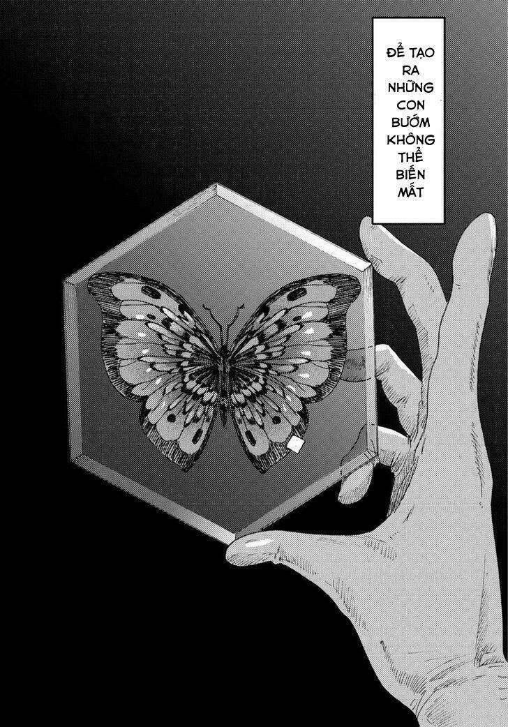 Butterfly Storage Chapter 3 - Trang 2