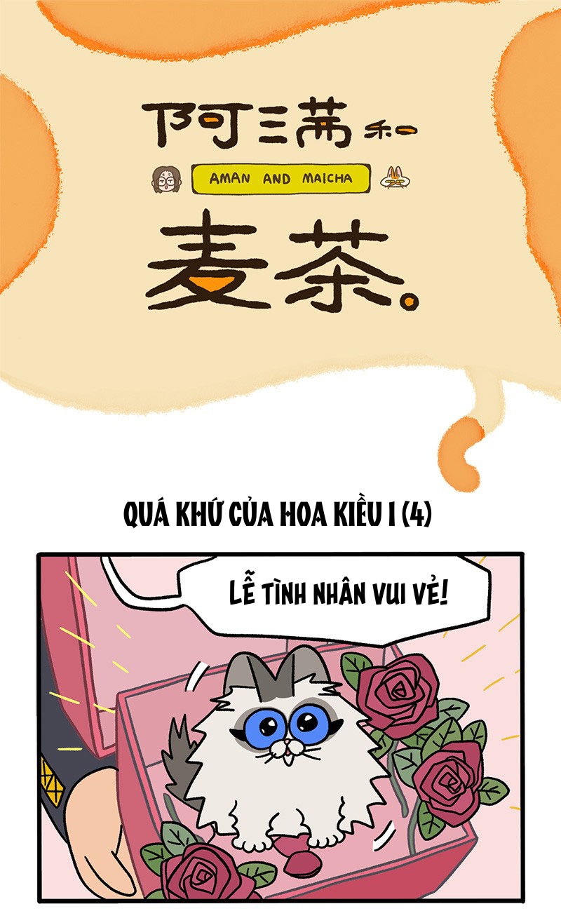 A Mãn Và Mạch Trà Chapter 47.1 - Trang 2