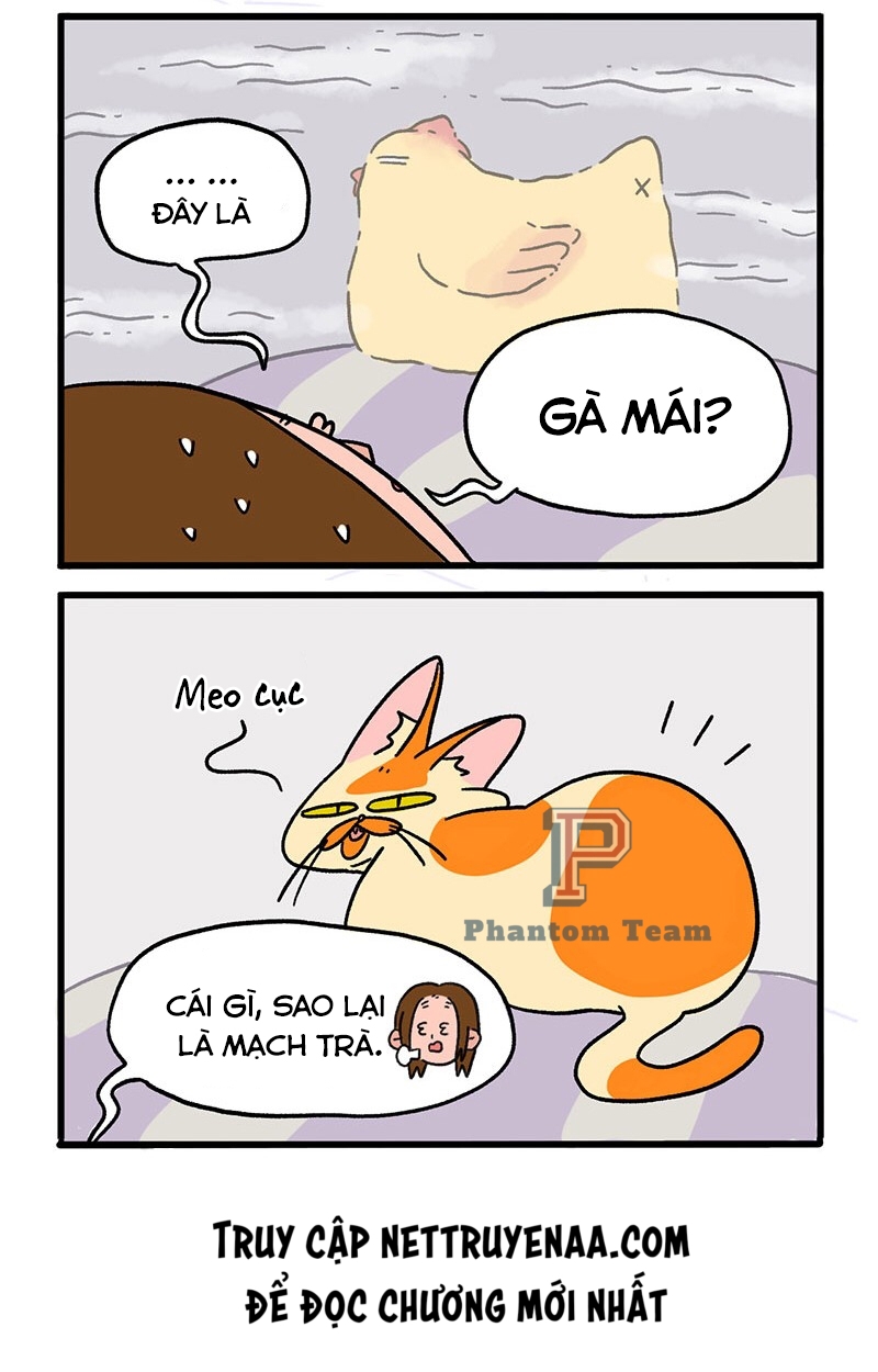 A Mãn Và Mạch Trà Chapter 9 - Trang 2