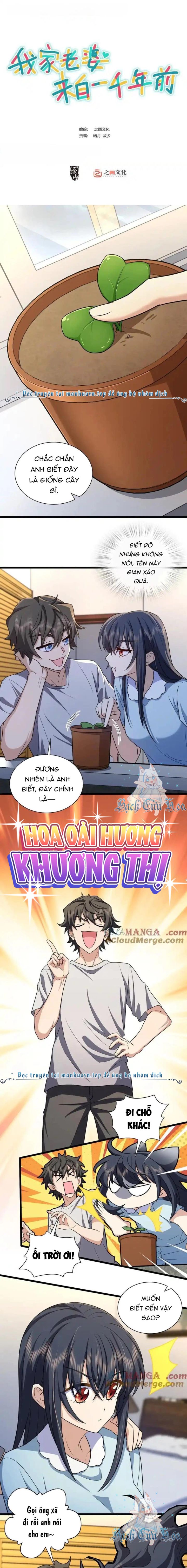 Bà Xã Tôi Đến Từ Ngàn Năm Trước Chapter 284 - Trang 2