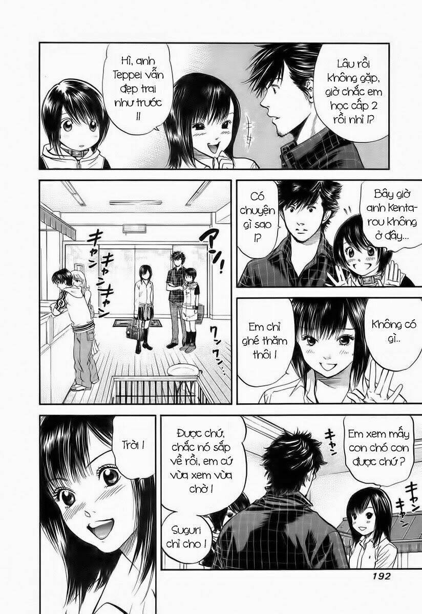 Cô Nàng Yêu Chó Chapter 41 - Trang 2