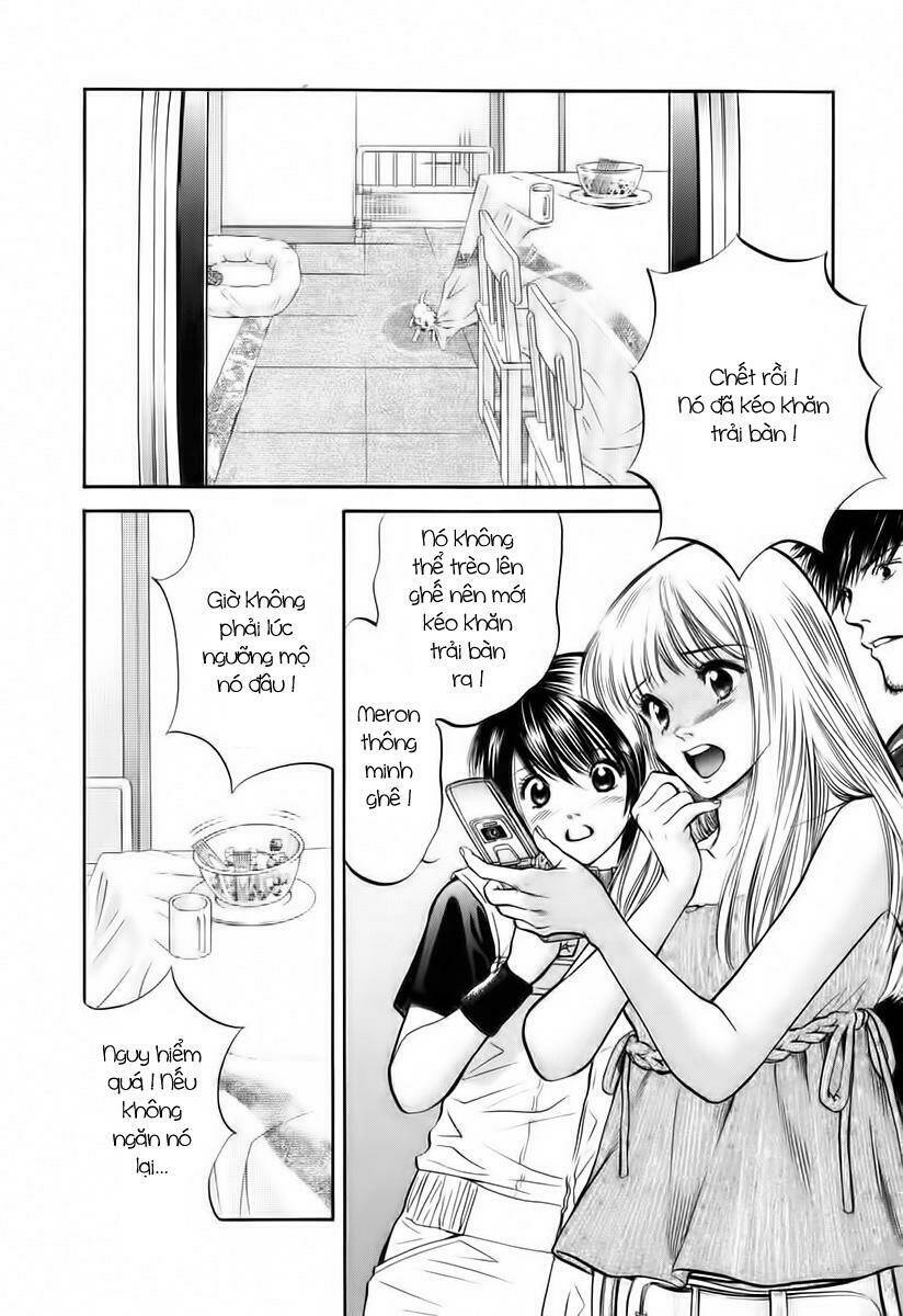 Cô Nàng Yêu Chó Chapter 39 - Trang 2