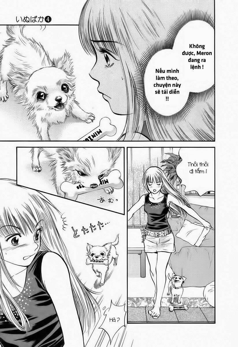 Cô Nàng Yêu Chó Chapter 38 - Trang 2