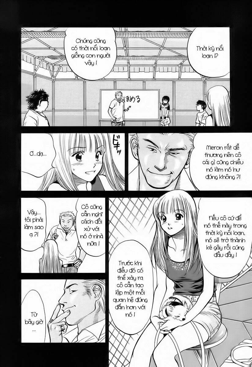 Cô Nàng Yêu Chó Chapter 37 - Trang 2